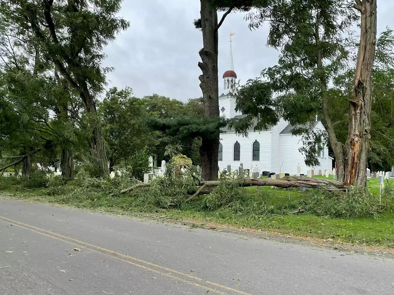 Post-tropical storm Lee knocks out power, brings trees down in Annapolis Valley, N.S.