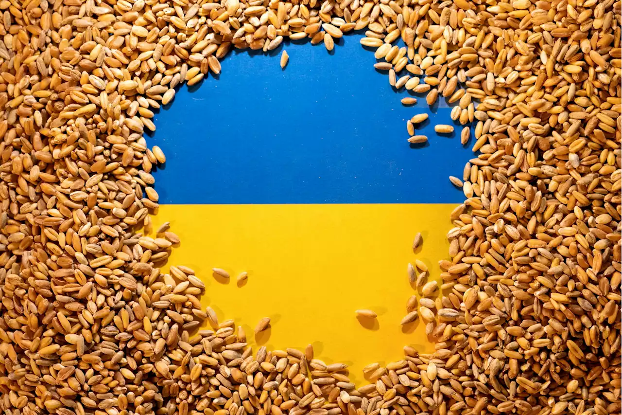 Ukraine files WTO complaints against Poland, Slovakia and Hungary over food export ban