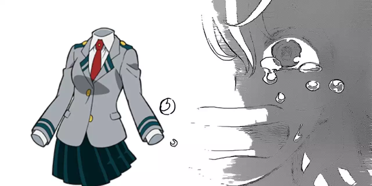 My Hero Academia: Invisible Girl's True Appearance Officially Revealed