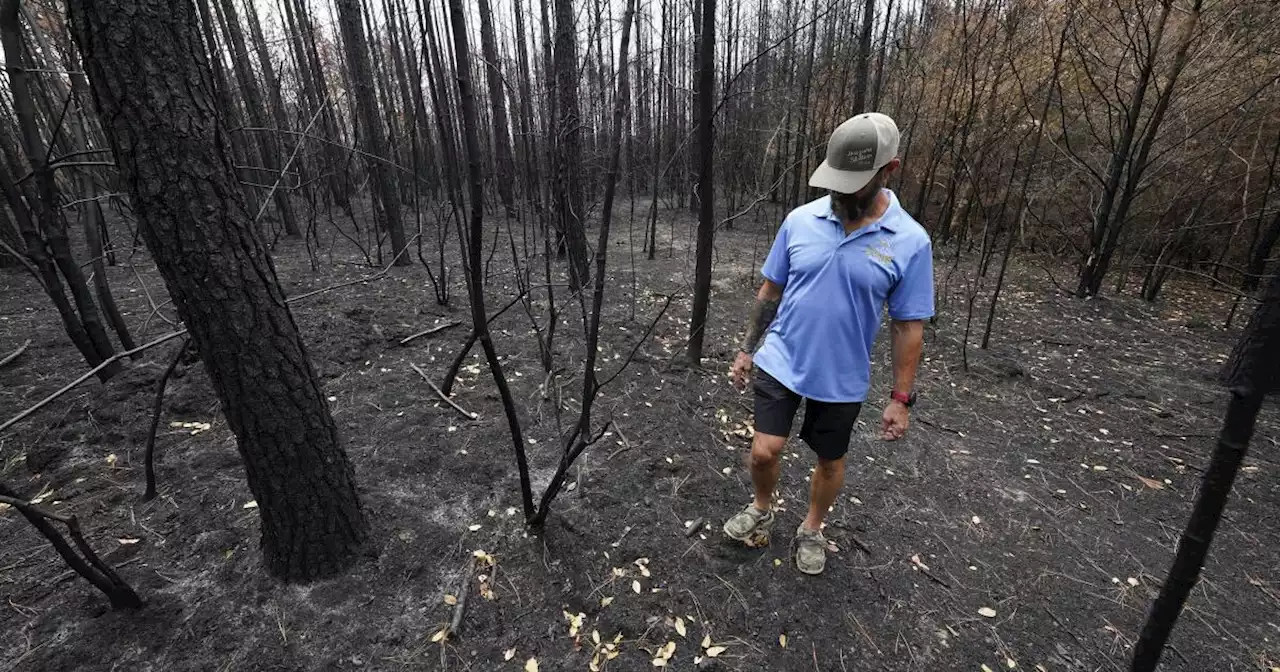 In a state used to hurricanes and flooding, Louisiana is battling an unprecedented wildfire season