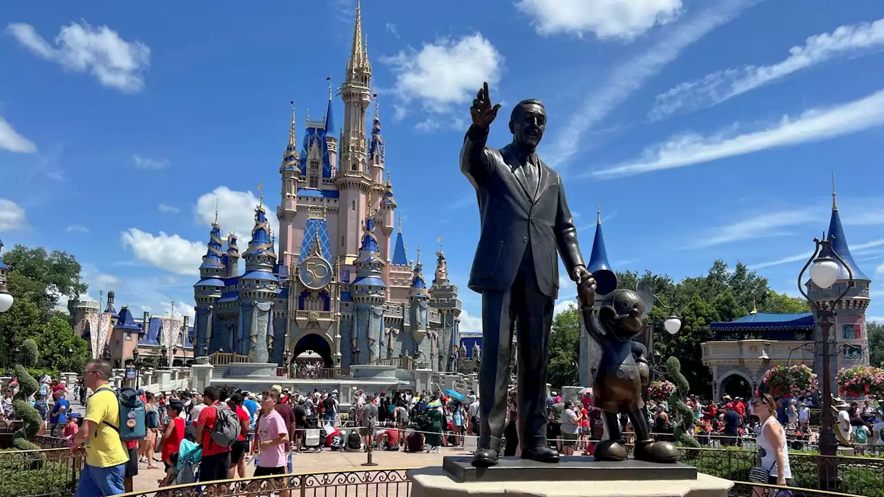 Disney World: Black bear on the loose forces parts of Florida theme park to shut down