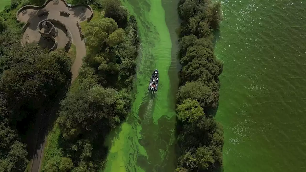 Stormont stalemate is turning the water green in Northern Ireland