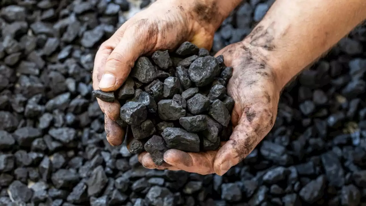 Whitehaven coal confirms talks of buying two Queensland coal mines