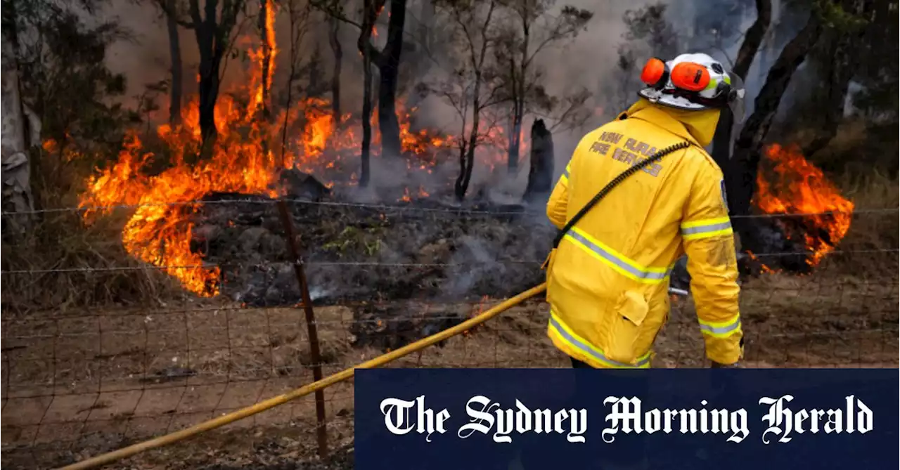 First total fire ban in three years declared for Sydney ahead of extreme conditions