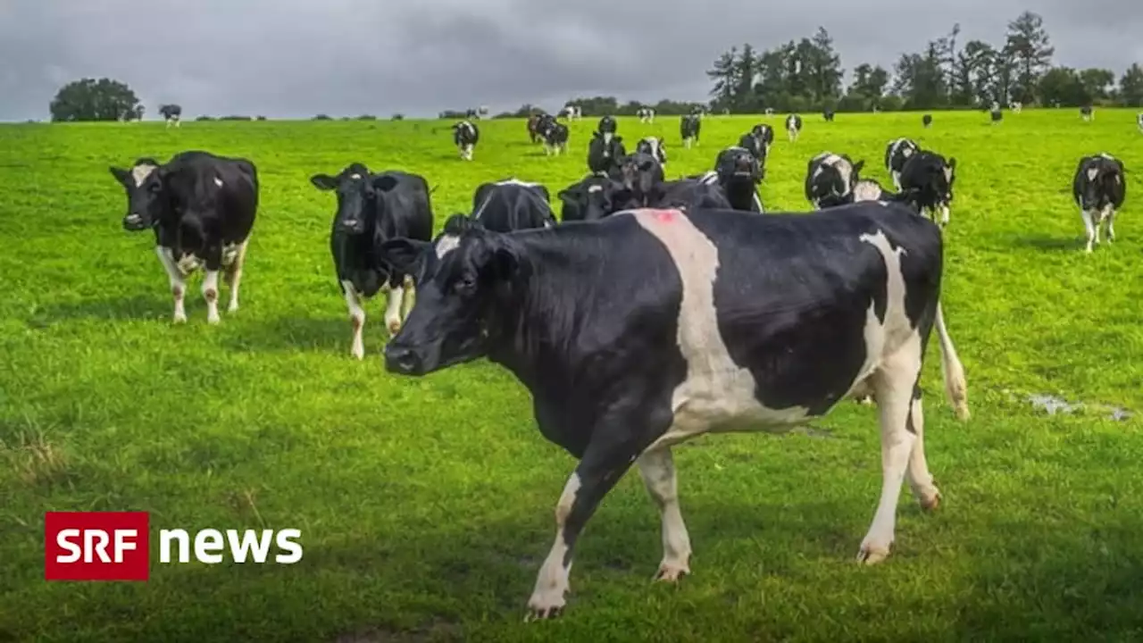 Stickstoffdüngung in Irland wird reduziert