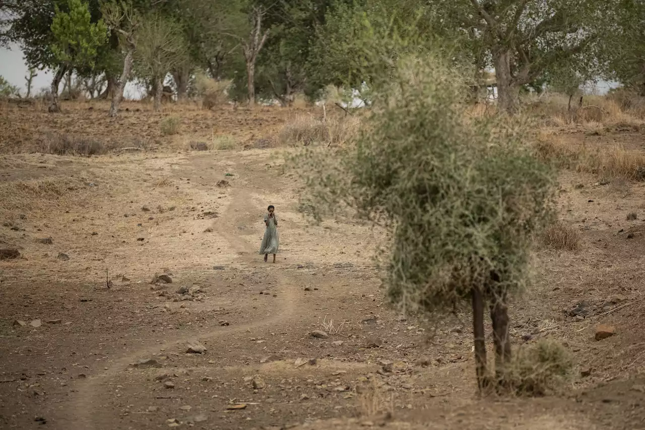 FN: Övergrepp och våldtäkter fortsätter i Tigray