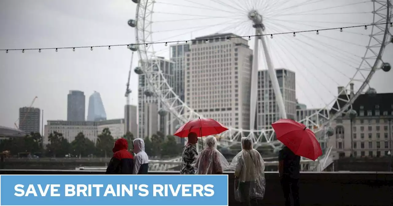 Heavy thunderstorms send sewage pouring into River Thames