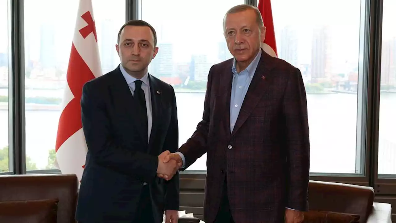 Turkish President Erdogan discusses 'Middle Corridor' with Georgian PM