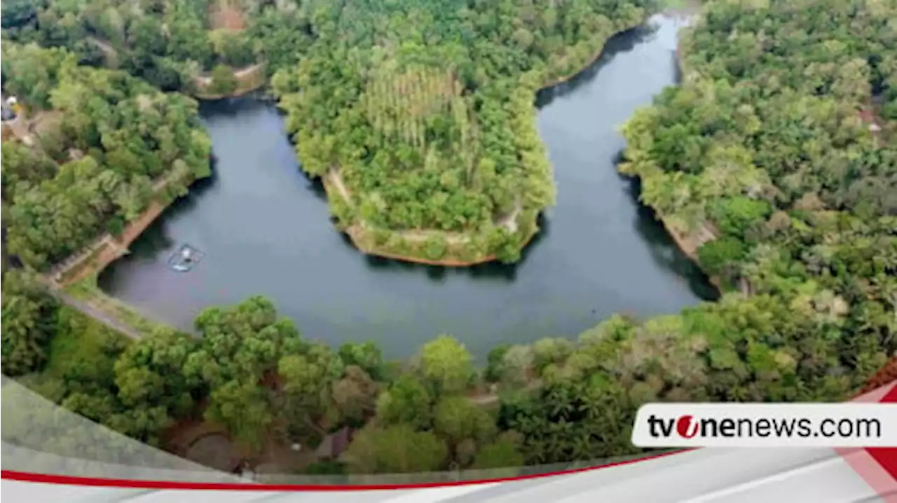 Situ Leutik Mengering akibat Kemarau Panjang, 78 Hektar Lahan Pertanian Gagal Panen di Banjar Jawa Barat