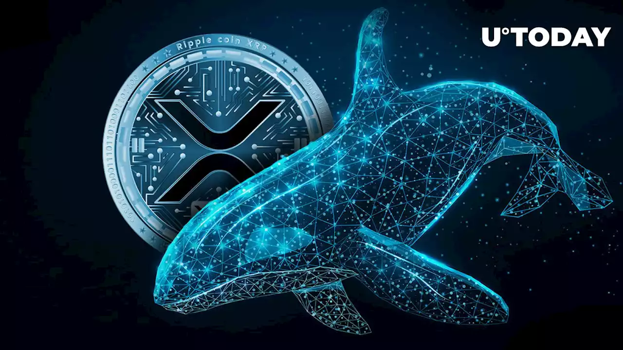 Ripple Sells Millions of XRP After Receiving 100 Million XRP From Mysterious Whale