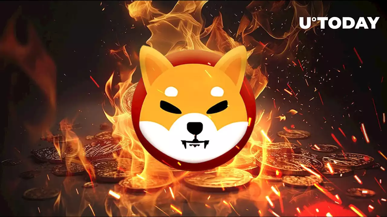 Shiba Inu Insider Offers Insightful Update on SHIB Burn by Shibarium