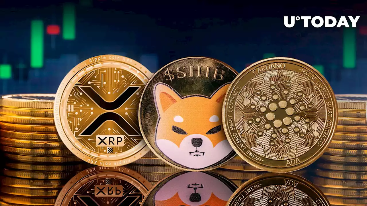 XRP, ADA and SHIB Might Be Top Beneficiaries of Rising Bitcoin Open Interest, Here's Why