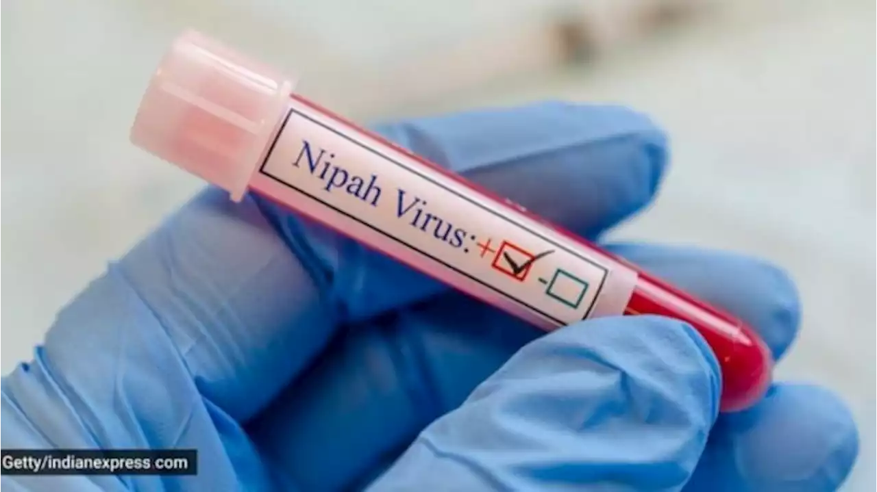 Apa itu Virus Nipah yang Makan Korban di India?