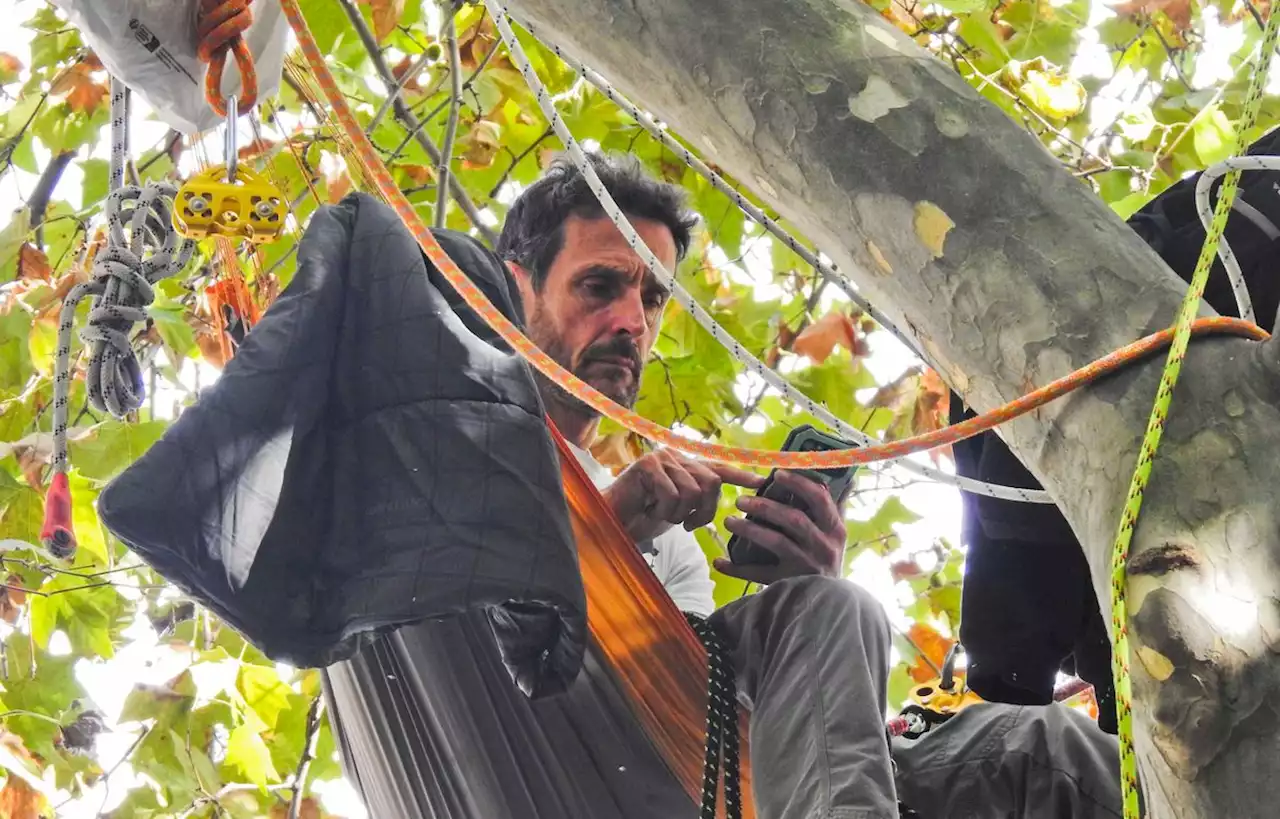 Thomas Brail descend de son arbre le temps d’une entrevue avec le ministre