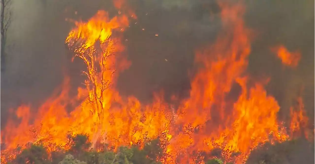 Dozens of fires burning across Queensland as state braces for more danger