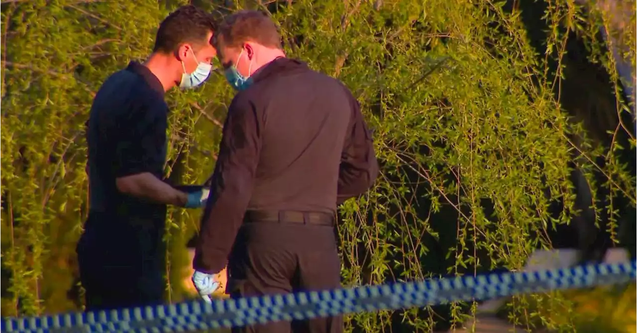 Former student charged after alleged stabbing on ANU campus