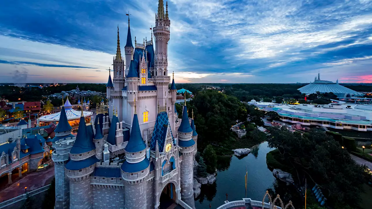 Rides reopened after black bear spotted at Walt Disney World's Magic Kingdom park