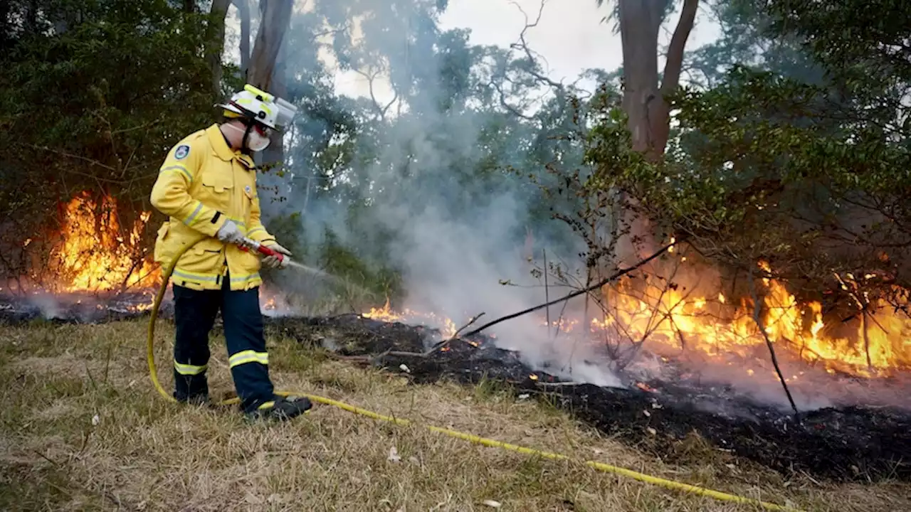 Dozens of schools close amid extreme fire danger warnings on NSW Far South Coast