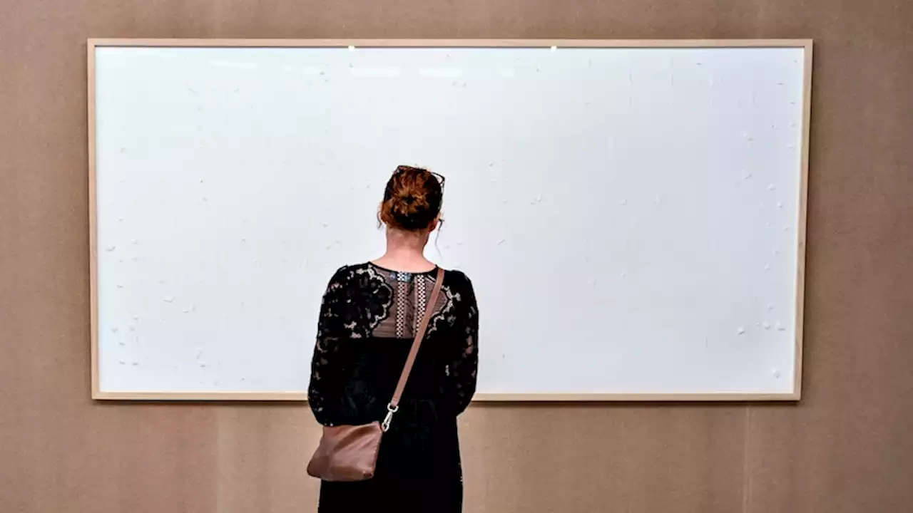 'Take the Money and Run': Danish artist told to return almost $112k after giving gallery blank canvases