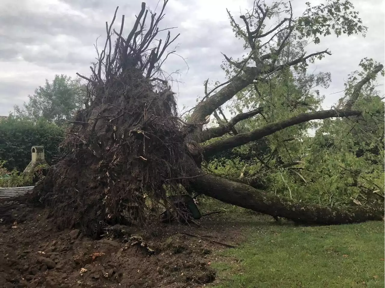 'C'était l'apocalypse dehors' : En Gironde, une mini-tornade sème la panique à Arbanats