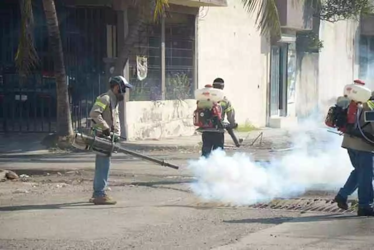 Hay más de 3 mil 500 casos de dengue en Veracruz; van 4 muertes