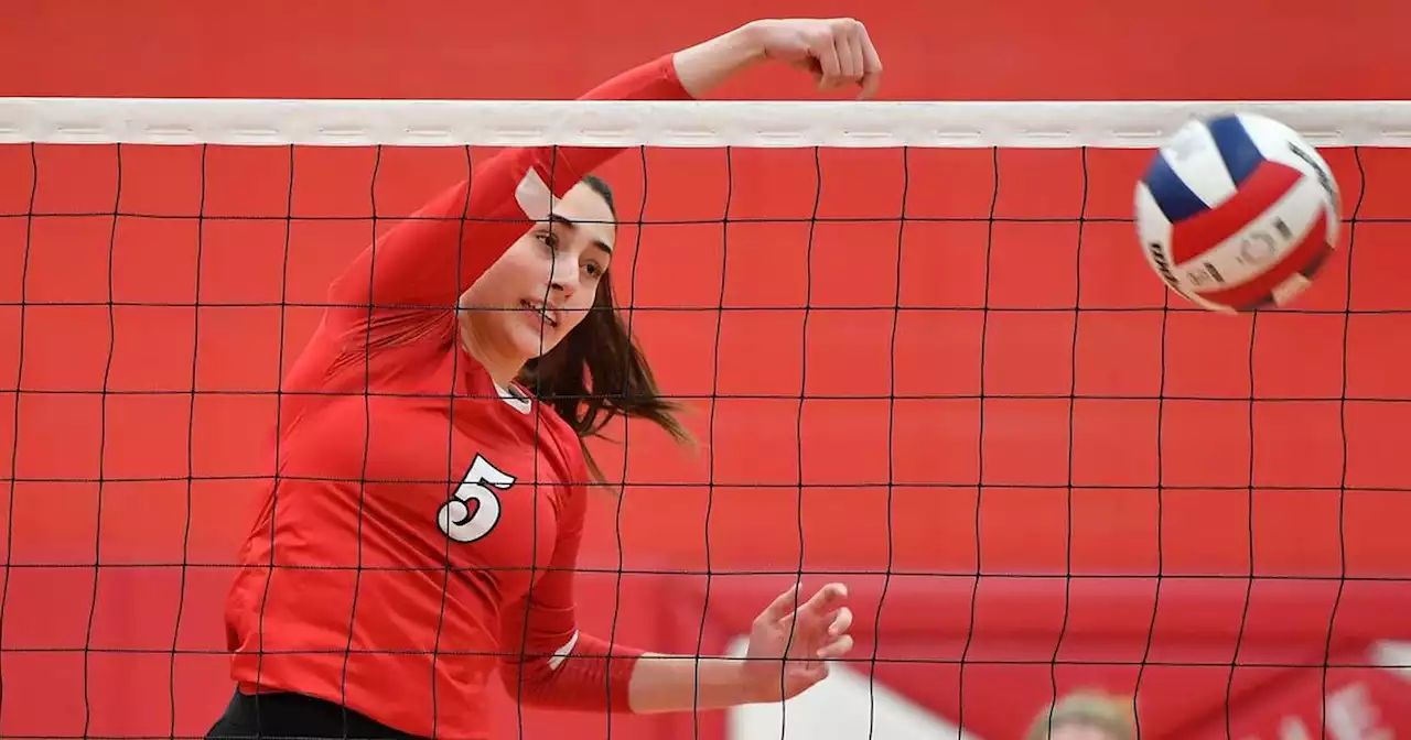 Volleyball: Sophia Zanca powers Naperville Central