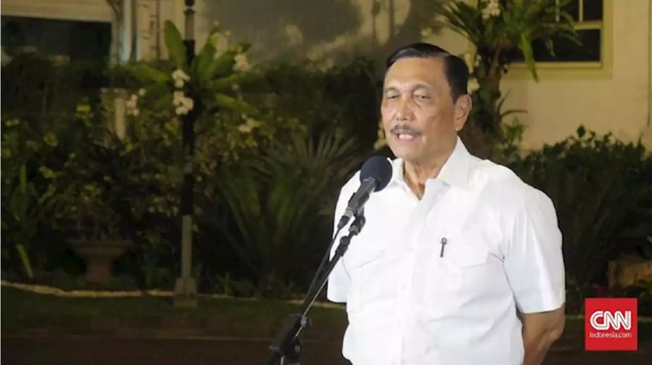 Luhut Soal Desakan Cabut PSN Rempang: Jangan Lumbung Padi Dibakar