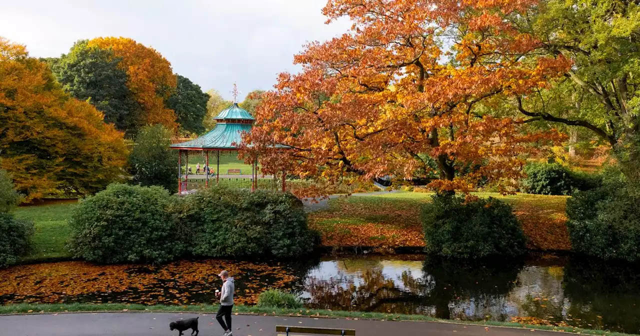 Met Office set the record straight on 'October heatwave'