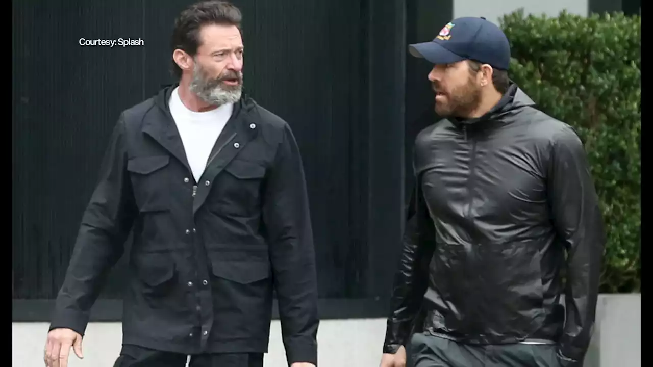 Hugh Jackman Spotted Out For Walk With Ryan Reynolds Amid Separation From Wife