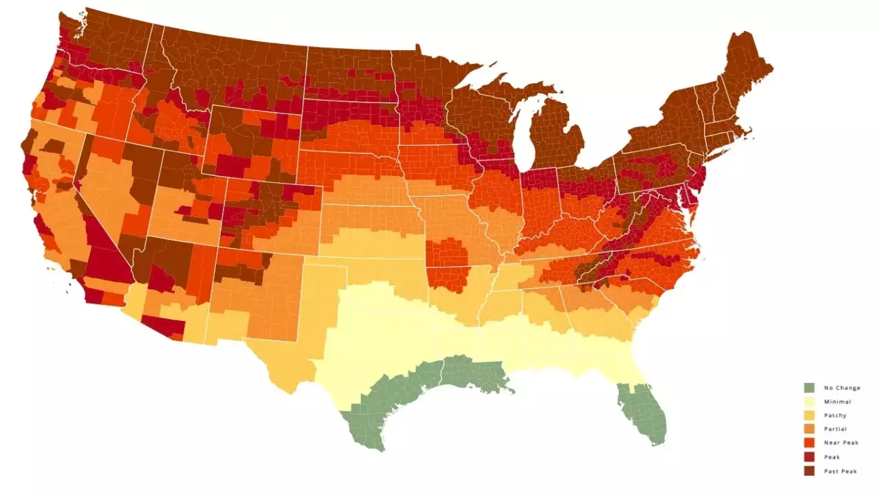 Curtain to rise soon on Chicago's fall colors show