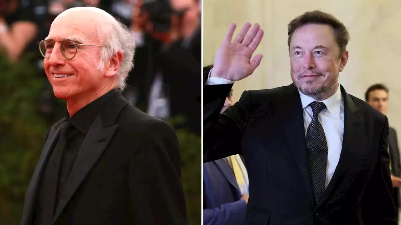 Larry David accused stunned Elon Musk at a wedding of supporting child murder: Book