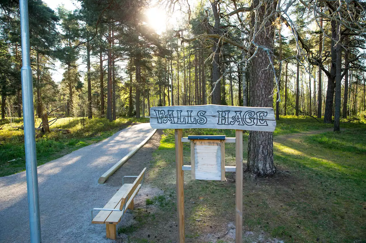 INSÄNDARE: Varför duger inte Boulognerskogen?