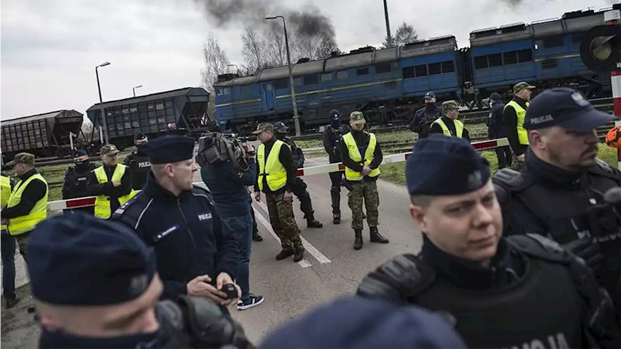 В Польше отказались снимать зерновое эмбарго из-за жалобы Украины в ВТО