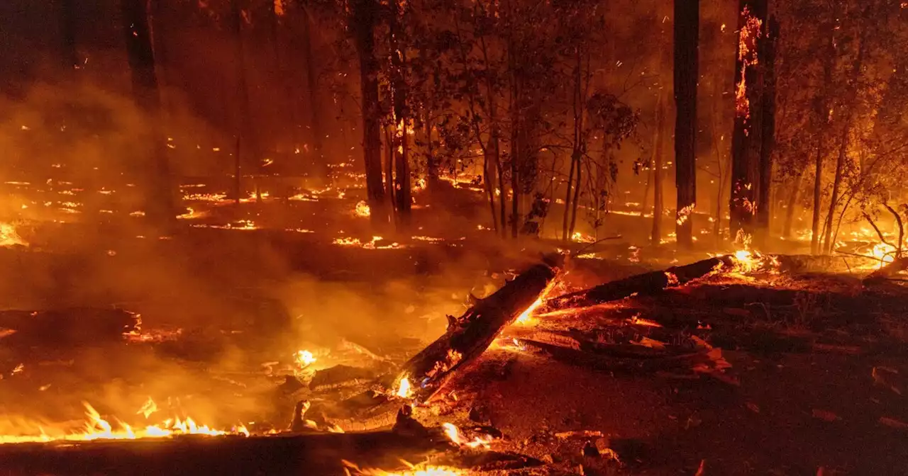 A Northern California tribe works to protect traditions in a warming world