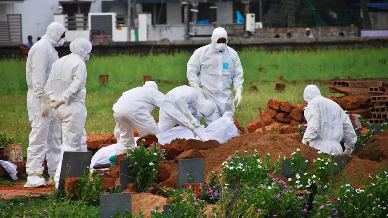 Waspada! Virus Nipah Tewaskan 2 Orang di India, Kemenkes RI Tingkatkan Kewaspadaan