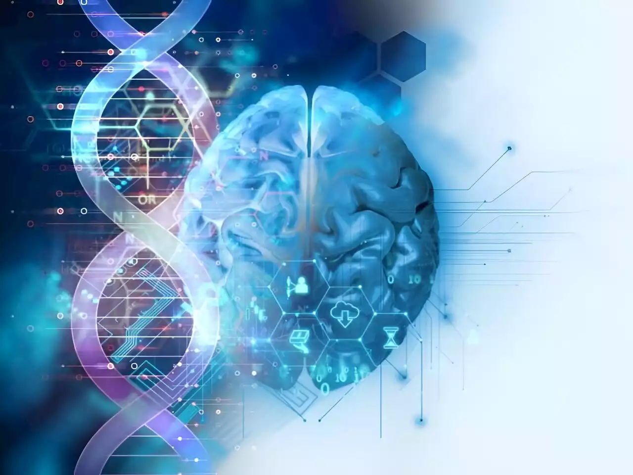 Four genetic variants ID'd for risk for progressive multifocal leukoencephalopathy