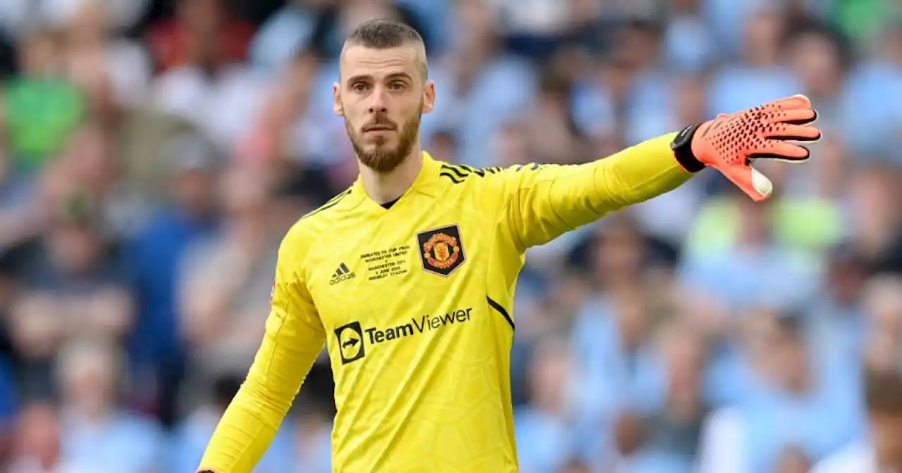 Former Man City boss keen to snap up David De Gea after Man Utd exit