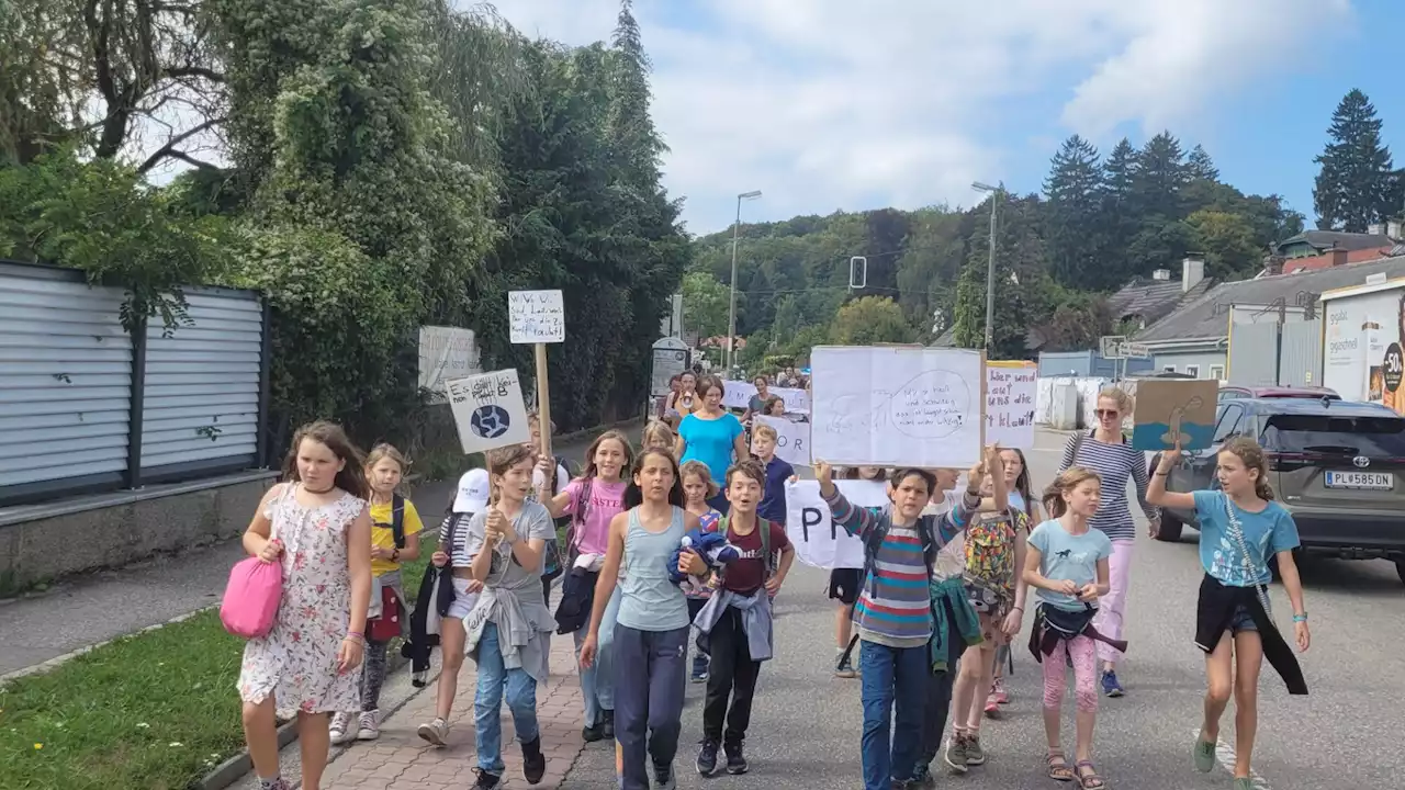 60 Personen bei Klimademo in Pressbaum