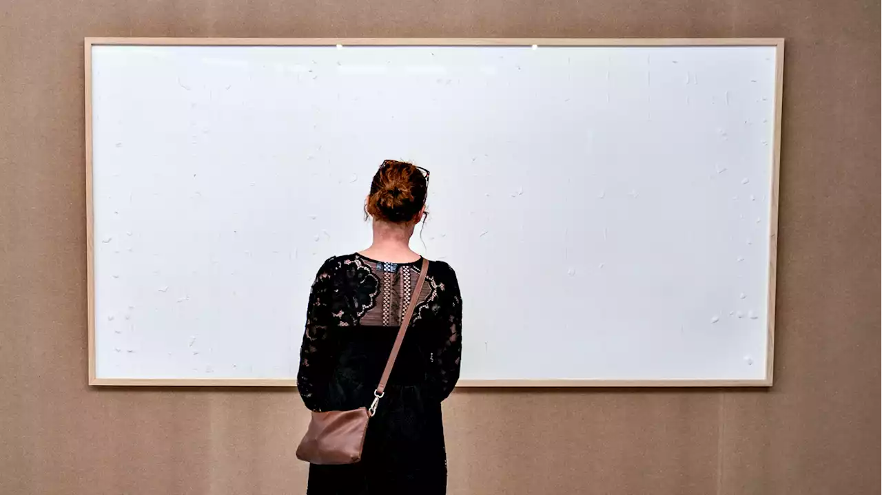 A Danish artist has been ordered to repay a museum after delivering blank canvases