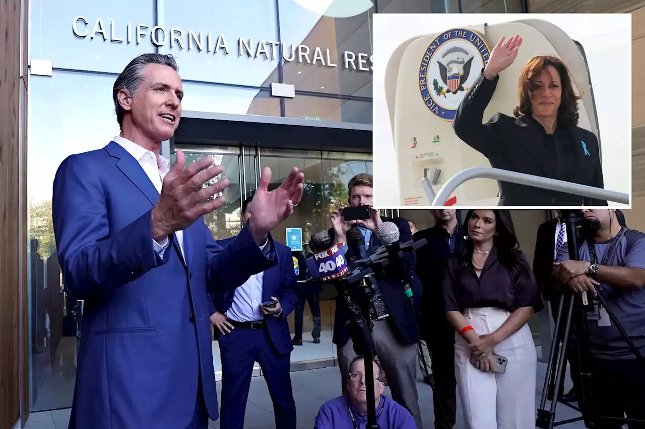 Newsom insists he’s not running for president, says he backs VP Kamala Harris: ‘No ambiguity’