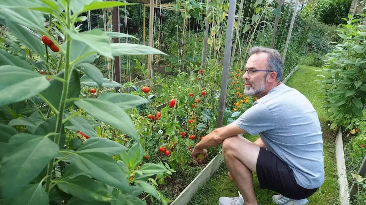 À Thouars, son jardin est un refuge LPO pour la nature