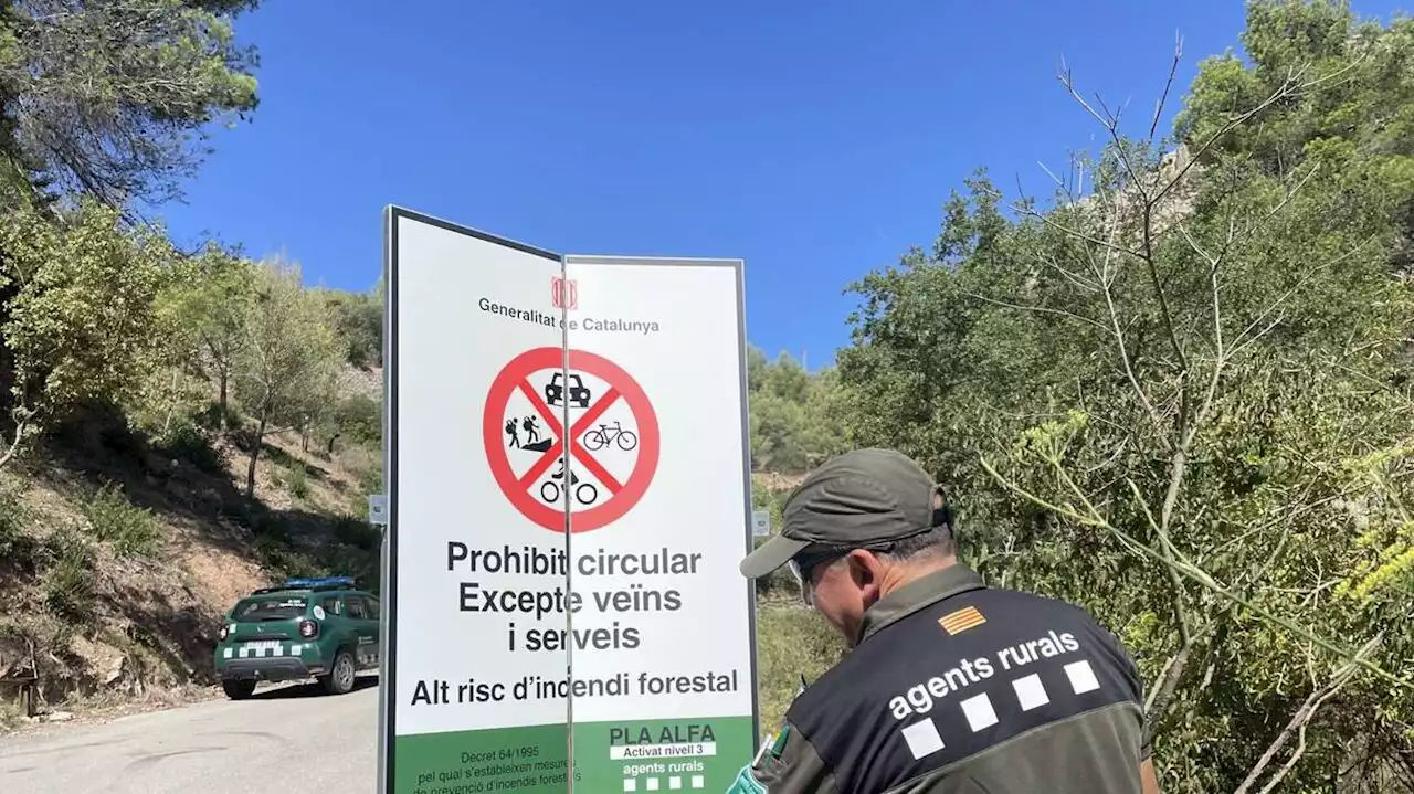 Comment l’Espagne a divisé par trois le nombre de ses grands incendies