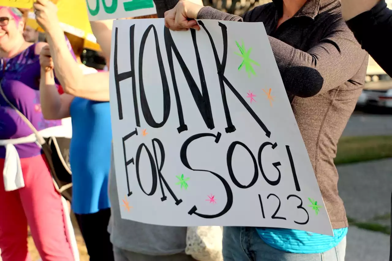 Prince George doctors concerned about anti-SOGI protest