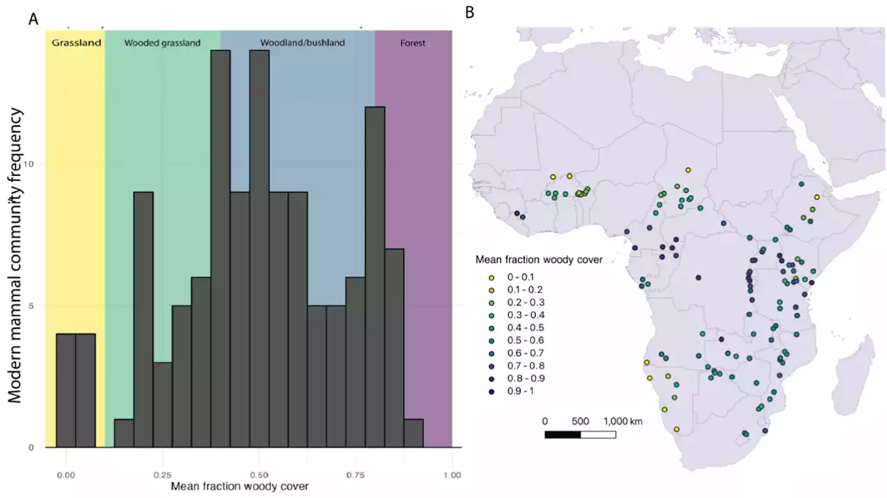 Grassland expansion was not a main driver of mammal evolution in Plio-Pleistocene Africa, research suggests