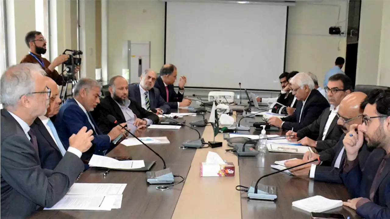 PBC Delegation Meets Energy Minister: Discusses Industrial Tariff And Green Energy Options