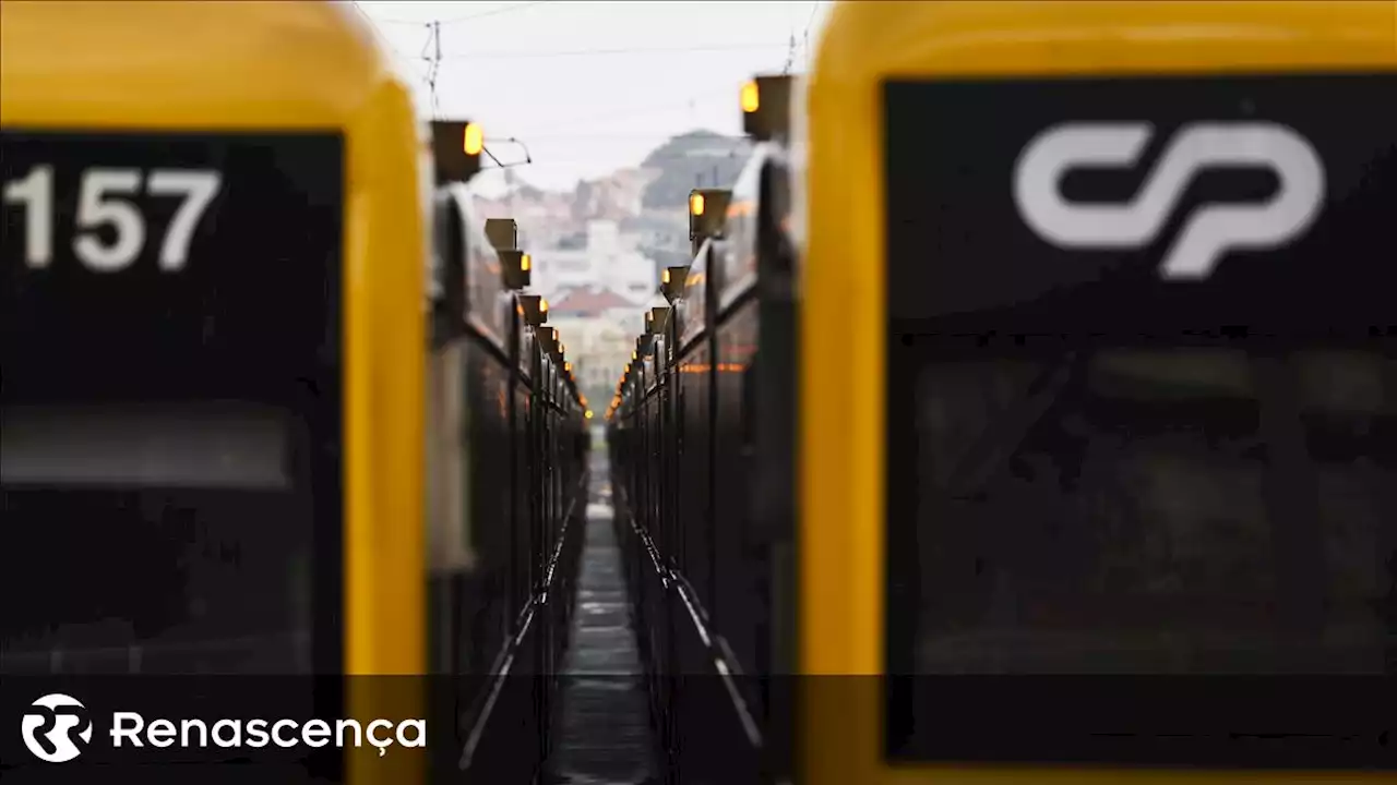 Estradas aumentaram 364% e ferrovias diminuíram 18% em Portugal em 23 anos