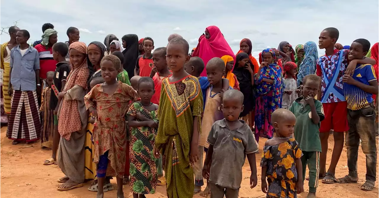 EU temporarily holds back food aid in Somalia after UN records widespread theft