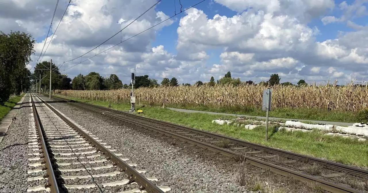 Wohnbauprojekt in Meerbusch: Kalverdonk-Pläne werden öffentlich ausgestellt