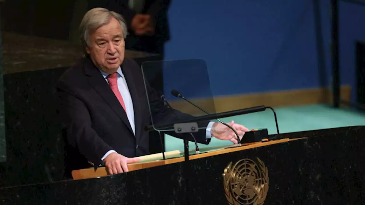 78th UN General Assembly to focus on geo-politics, development issues