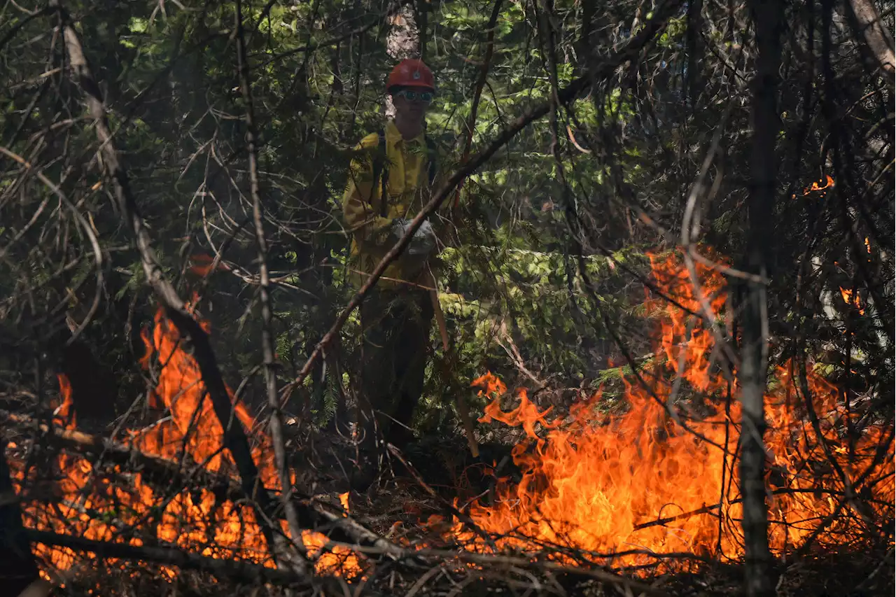 Business group standards aim to help firms account for nature-related risks